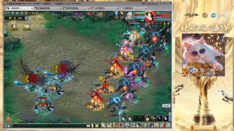 毒十女人欢迎踢馆