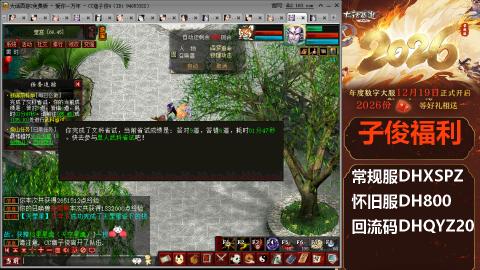 <2026>新手码：DHXSPZ