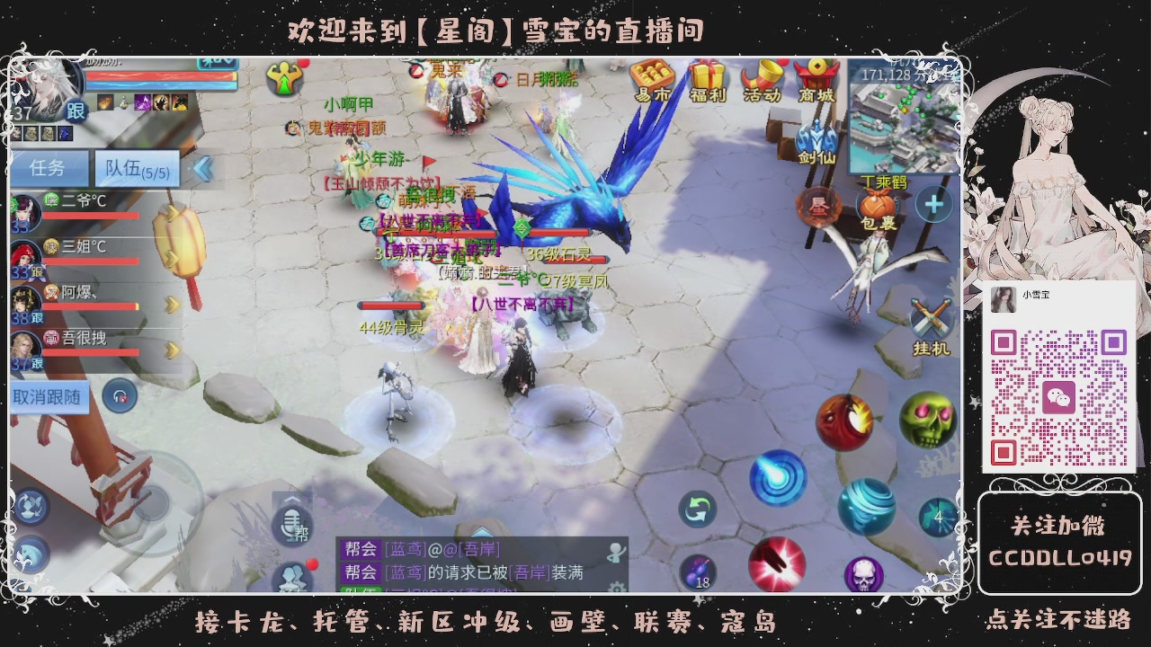 接新区冲级、托管、卡龙