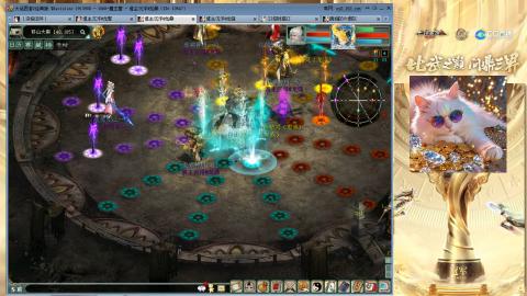 毒十女人欢迎踢馆