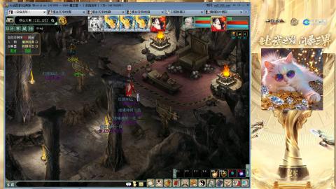 毒十女人欢迎踢馆