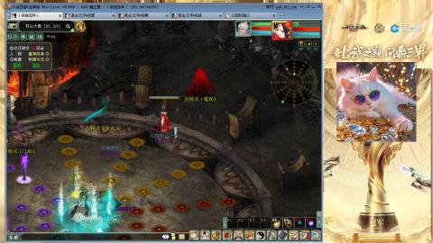 毒十女人欢迎踢馆