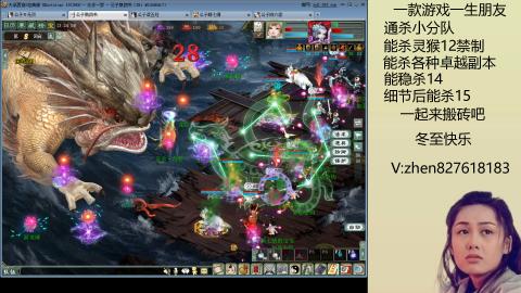 无属性双盘小分队