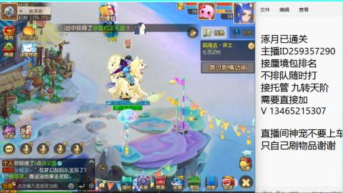 接九转蜃境托管~