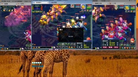 群星璀璨3组175日常