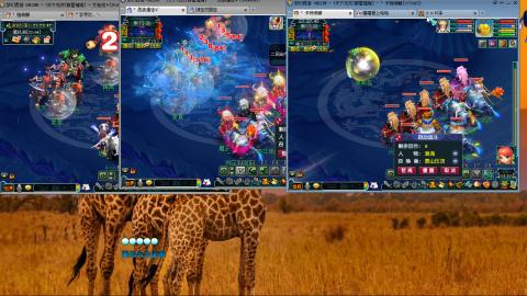 群星璀璨3组175日常