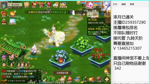 接九转蜃境托管~