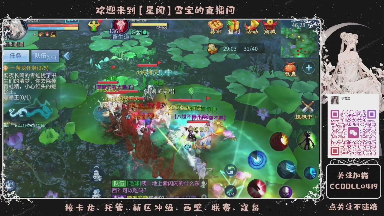 接新区冲级、托管、卡龙