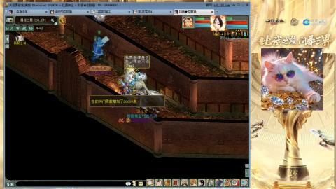 毒十女人欢迎踢馆