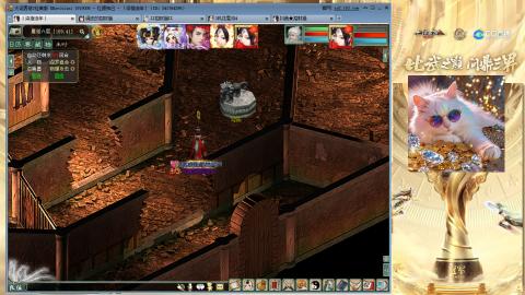 毒十女人欢迎踢馆