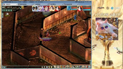 毒十女人欢迎踢馆