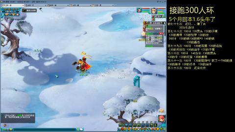 135飞升跑环平民的选择