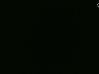 爱网易爱CC专注神宠专业打本