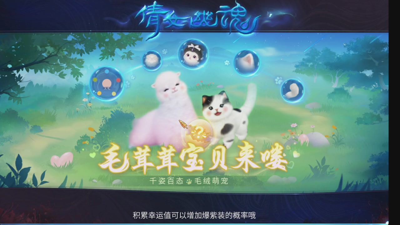 新大区接托管 包强化 细节打造 接卡龙