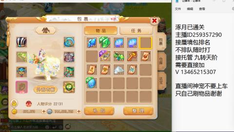 接九转蜃境托管~