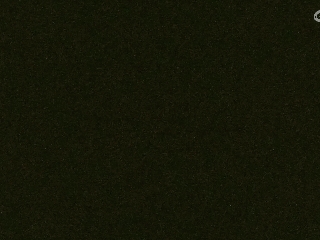 美貌与智慧并存，颜值与才华齐飞