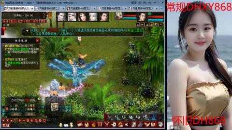 <2026>新手码：DHXY868