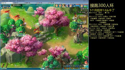 135飞升跑环平民的选择