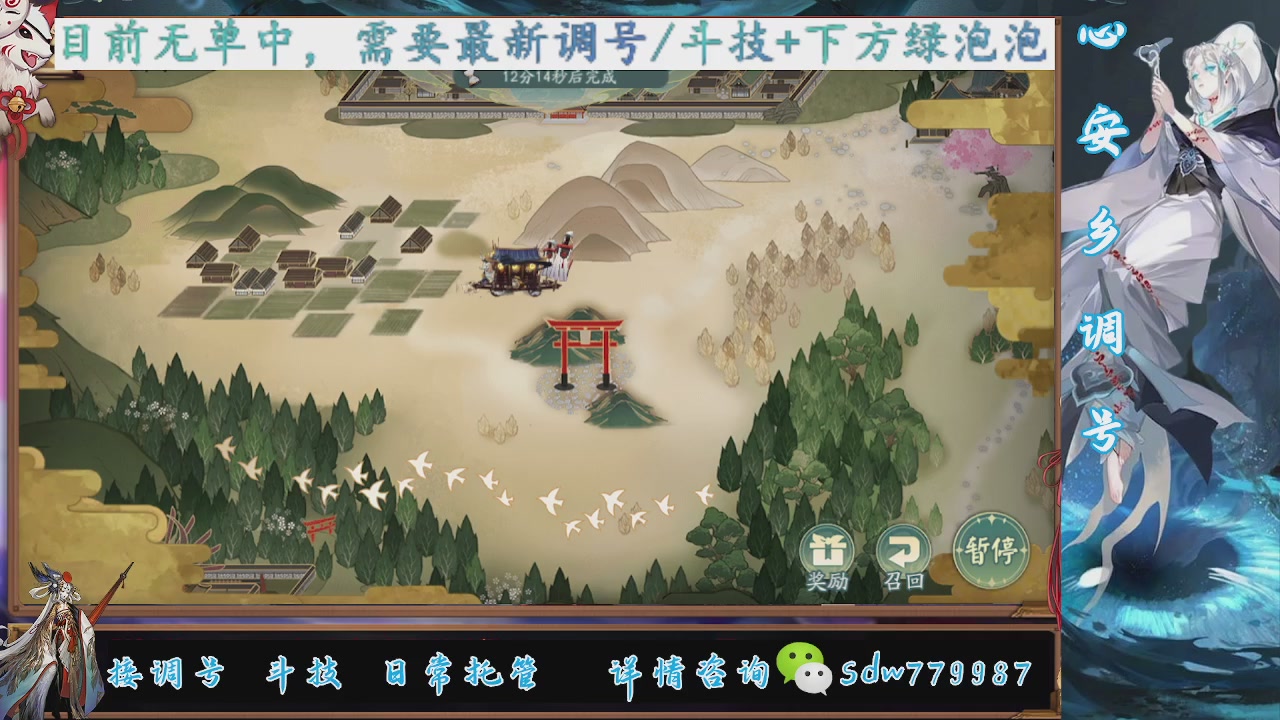 接调号|斗技|托管