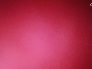 爱网易爱cc专注神宠打本