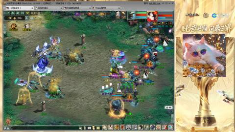 毒十女人欢迎踢馆