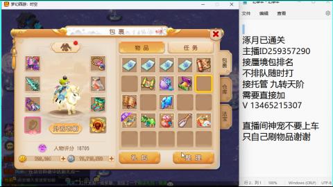 接九转蜃境托管~