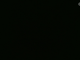 爱网易爱cc专注神宠打本