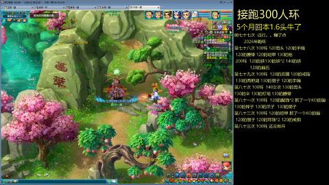 135飞升跑环平民的选择