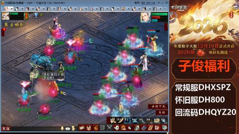 <2026>新手码：DHXSPZ