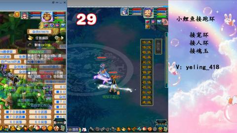 接命魂之玉 人环 宠环