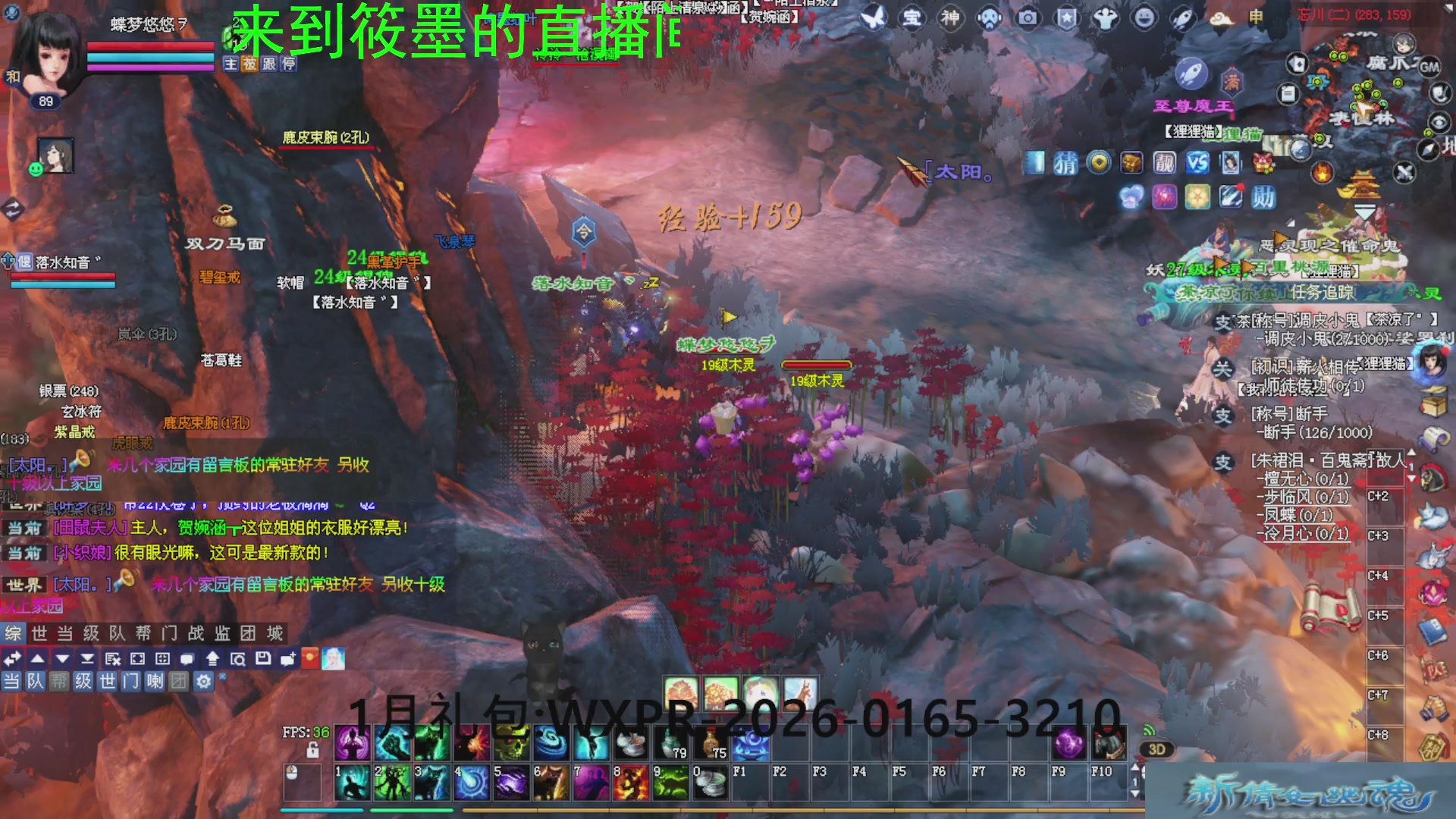 新倩女幽魂萌新探索中