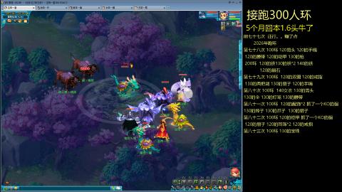 135飞升跑环平民的选择