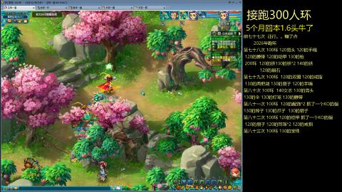 135飞升跑环平民的选择