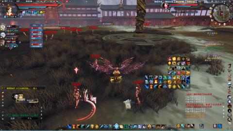 新手魂剑，又菜又爱玩！