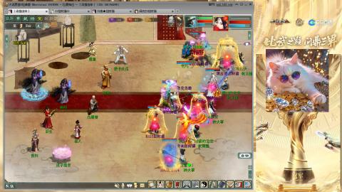 毒十女人欢迎踢馆