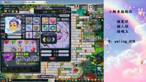 接命魂之玉 人环 宠环