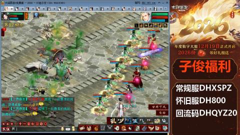 <2026>新手码：DHXSPZ