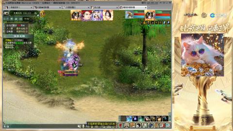 毒十女人欢迎踢馆