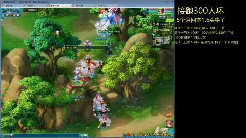 135飞升跑环平民的选择