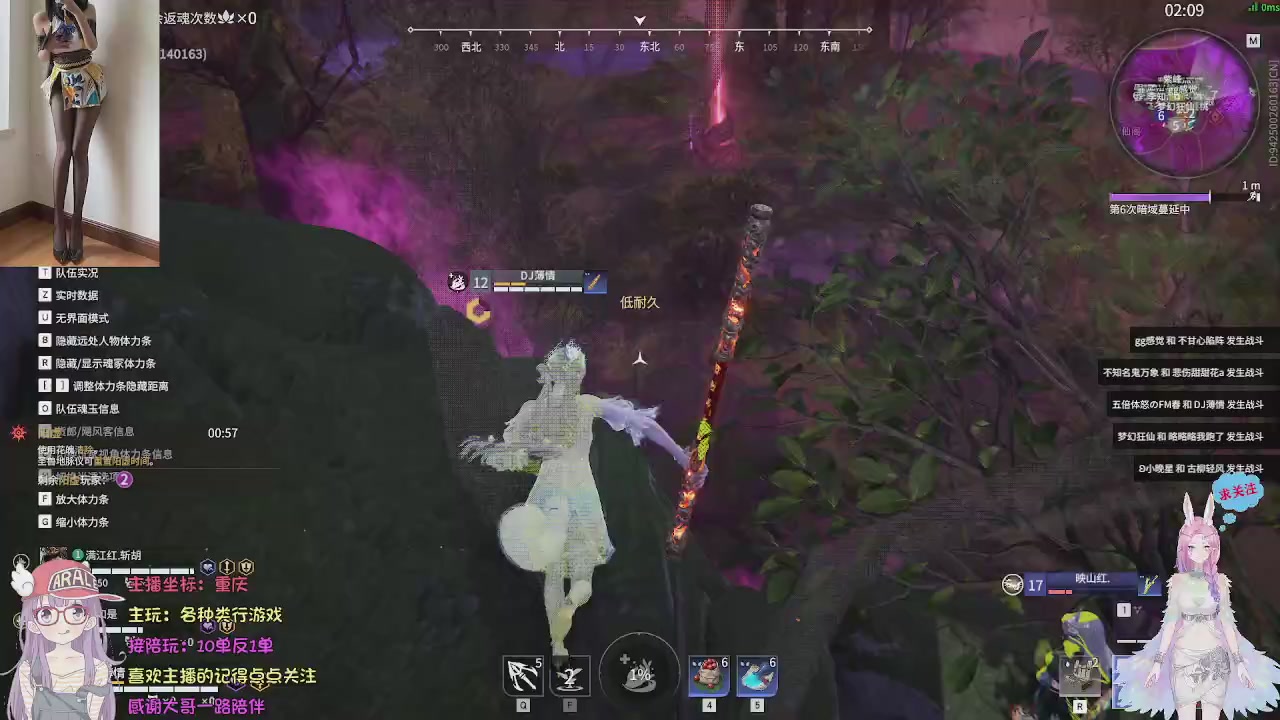 美貌与智慧并存，颜值与才华齐飞