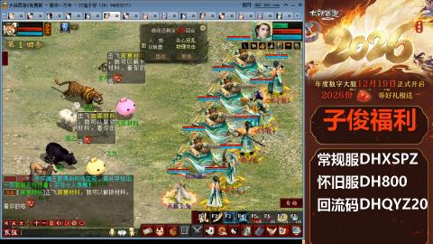 <2026>新手码：DHXSPZ