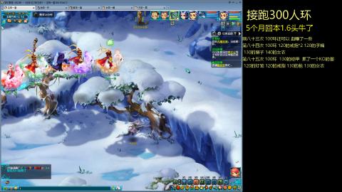 135飞升跑环平民的选择