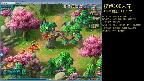 135飞升跑环平民的选择