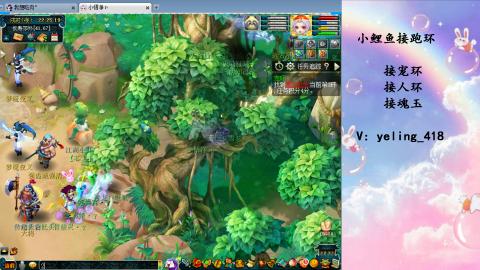 接命魂之玉 人环 宠环