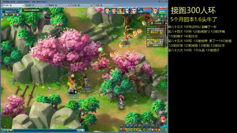 135飞升跑环平民的选择