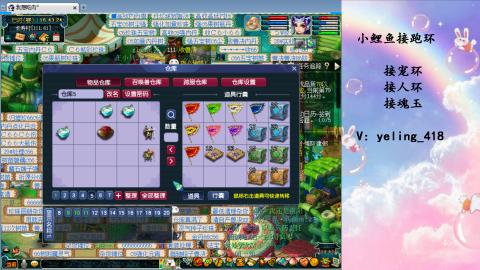 接命魂之玉 人环 宠环