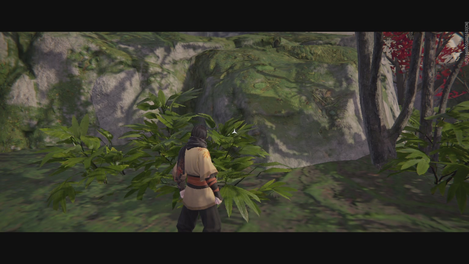 卿梦安心的直播间