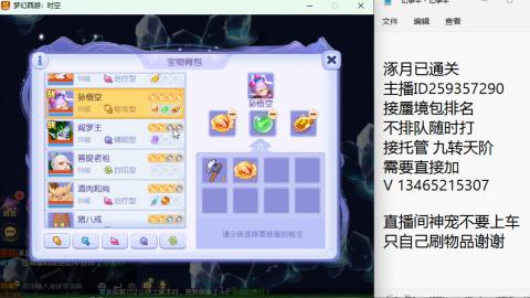 接九转蜃境托管~