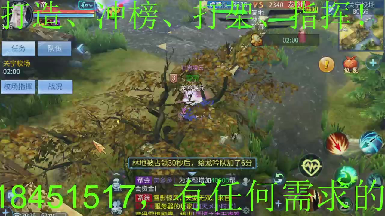 接大区托管，打造，打架，冲榜~感谢支持！