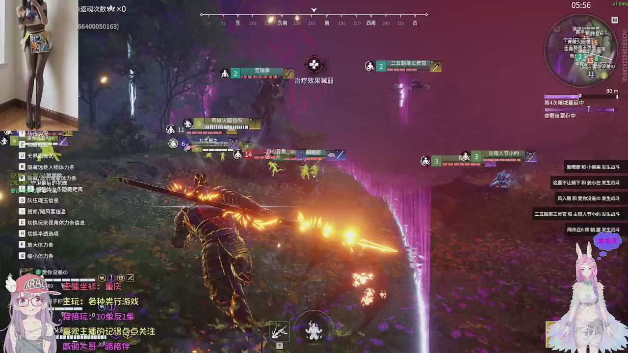 美貌与智慧并存，颜值与才华齐飞